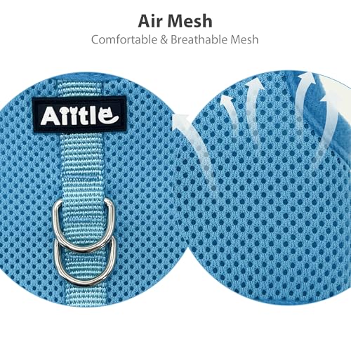 AIITLE Breathable Escape Proof Rabbit Harness and Leash Set, Blue L - color: Blue, size: L