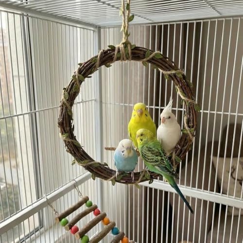 2-Pack Woven Vine Bird Swing & Climbing Perch, Large - size: Large