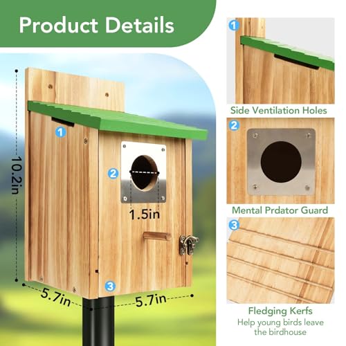 2 Pack Bird Houses for Outside- Cedar Bird House with Metal Predator Guard - color: Green - 2 Pack