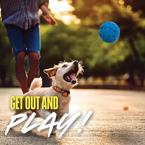 Nerf Dog Rubber Ball Dog Toy with Checkered Squeaker, Lightweight, Durable and Water Resistant, 4 Inch Diameter for Medium/Large Breeds, Single Unit, Blue - size: 4 Inch Blue, style: Checker Squeak