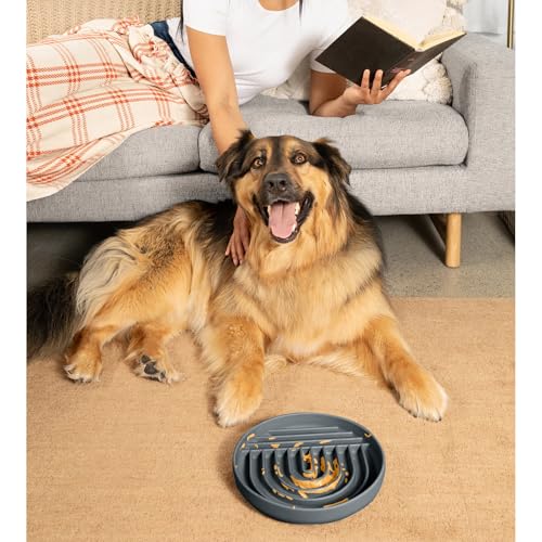 Slow Feeder Dog Bowl - Silicone Dog Bowl, Large, 9.5" x 1.5" - Charcoal - color: Charcoal - Rainbow Design, size: Large (9.5” Across and 1.5” Tall)