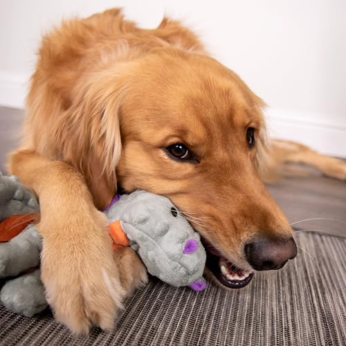 goDog Dragons Squeaky Plush Dog Toy with Chew Guard Technology, Durable Fabric & Squeaker for Active Play, Gray, Large - color: Gray, size: Large