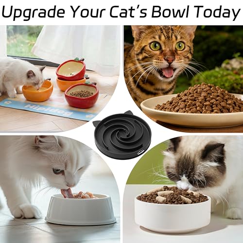 Slow Feeder Cat Bowl, Silicone Maze Design with Suction Base - color: Black
