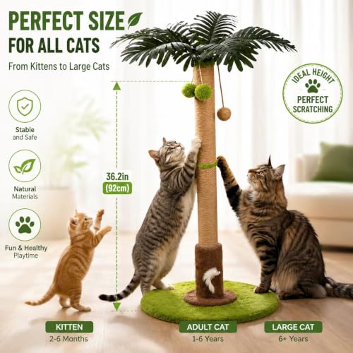 RPZ Cat Scratching Post, Sisal Scratcher with Toys for Indoor Cats