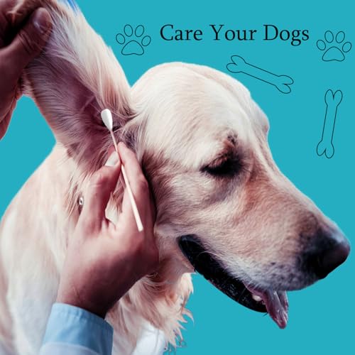 6 Inch Long Large Cotton Swabs,200pcs Large Cotton Buds with Bamboo Handle,Extra Large Tip Cotton Swabs ,Professional Big Cotton Swabs，Dogs Ears Large Cotton Swabs - size: 200 Count (Pack of 2)
