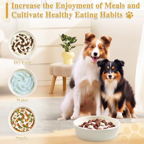 Ceramic Slow Feeder Dog Bowls,1.5 Cups Dog Food Dish for Medium&Large Breed - color: Beige-L