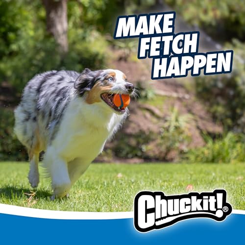 Chuckit! Ultra and Rugged Dog Balls, High-Bounce Fetch, Medium, Set of 3 - size: Medium (2.5"), style: Fetch Pack 2