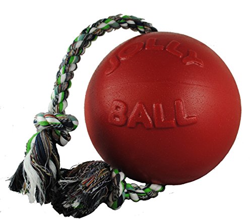 Jolly Pets Romp-n-Roll Rope and Ball Dog Toy, 4.5 Inches/Small, Red - color: Red, size: Small (4.5 in)