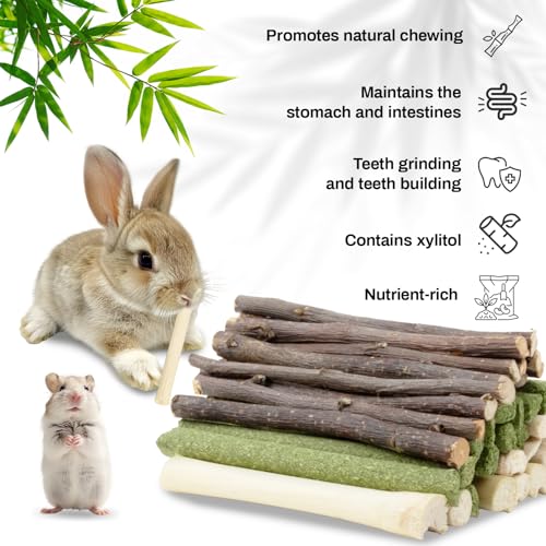 Sukh 300g Rabbit Chew Toy Set-Timothy Hay,Apple Sticks & Sweet Bamboo Stick