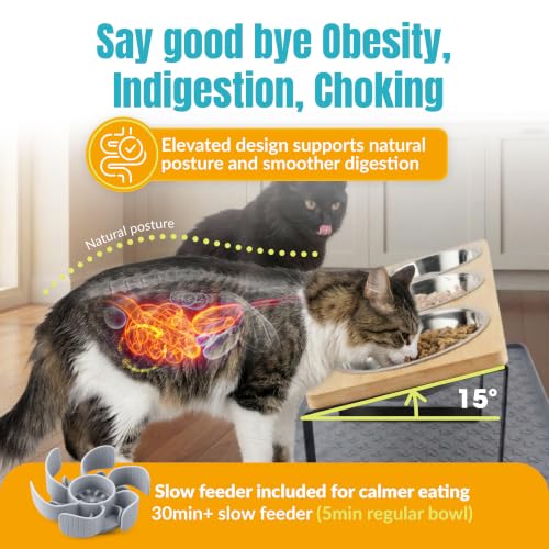 Raised Cat Food Bowls-3 Bowl Elevated Cat Feeding Station with Mat