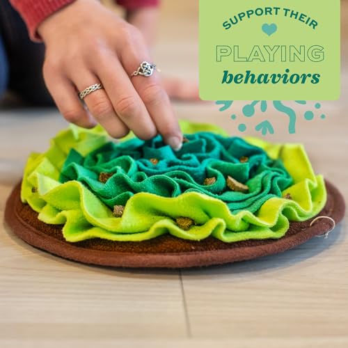 Oxbow Lettuce Forage Mat for Rabbits & Guinea Pigs, Enriching Food Puzzle