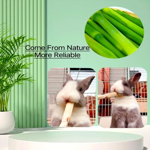 700g Sweet Bamboo Sticks for Rabbits,Chew Toy for Bunny Chinchilla