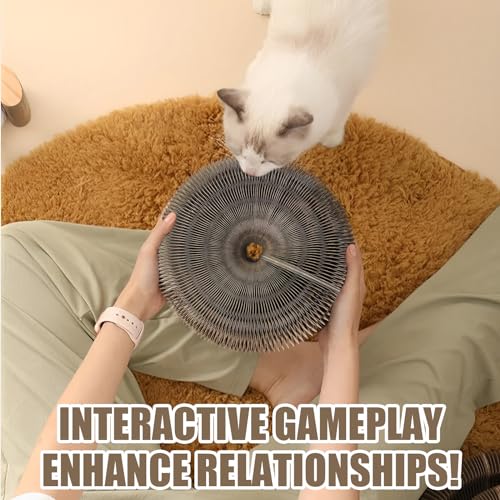 Magic Organ Cat Toy, 1PC Scratching Board