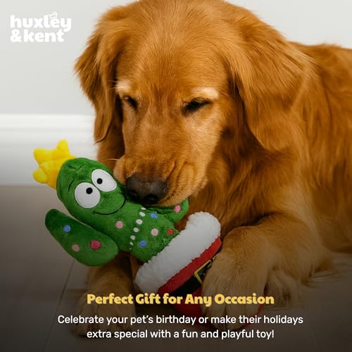 Huxley & Kent Seek 'n Treat Puzzle Dog Toy, Prickly & Bright Pawt - color: Prickly & Bright Pawt, size: One Size