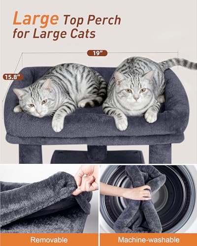 23.6" Cat Tree for Large Cat, 19 * 15.8 in Large Perch, Dark Gray - color: Dark Gray