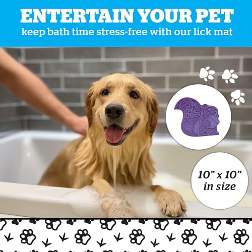 BigMouth Go Nuts Silicone Lick Mat for Dogs and Cats, Slow Feeder Enrichment Pad, Dishwasher Safe Anxiety Relief Toy - style: Funny Squirrel