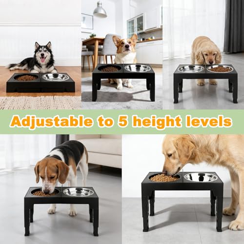 4-in-1 Elevated Dog Bowl Stand with Slow Feeder, 5 Adjustable Heights