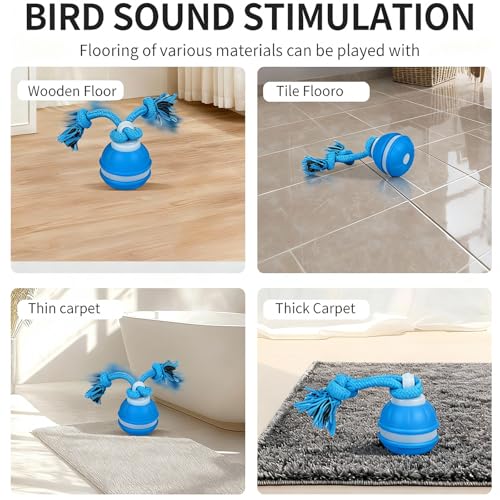 2 Pack Interactive Dog & Cat Ball, Auto Chirping, Rechargeable, Self Play - color: 1 Orange + 1 Blue