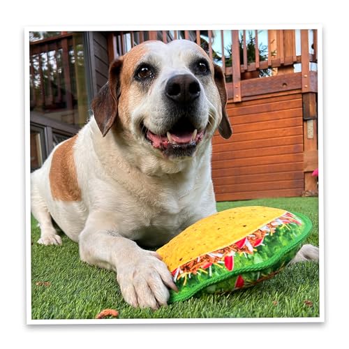 Doggijuana Tuffer Chewer Dog Toy, Taco | Squeaky Refillable Plush Toy - size: Standard, style: Taco