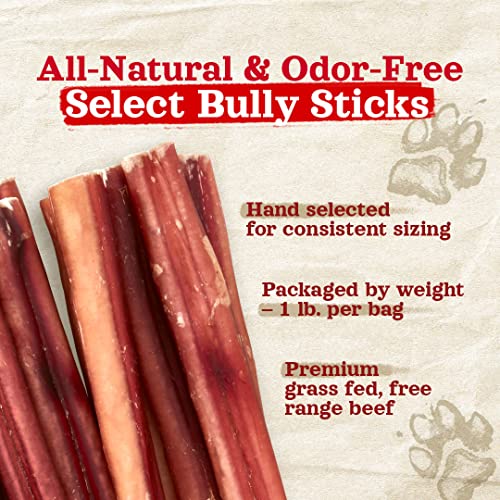 Natural Farm Odor-Free Select Bully Sticks, (12-Inch, 1-Pound), Hand Selected for Consistent Thickness, 100% Beef Pizzle Dog Chews, Fully Digestible, High Protein, Best Dental Treats - size: 12" Select - 1 Pound