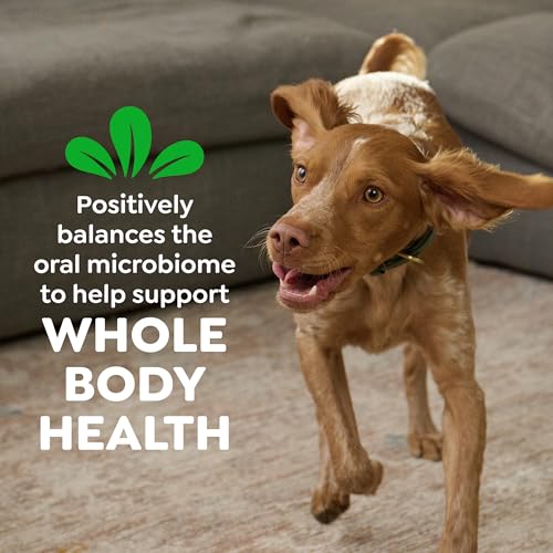 Greenies Large Natural Dental Dog Treats, Original Flavor, 8 Count - size: 8 Count (Pack of 1)
