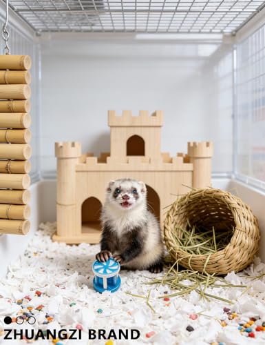 ZHUANGZI 10-Pack Ferret Toy Bells Balls, Non-Toxic Plastic - size: 1.5'' - 2.8''