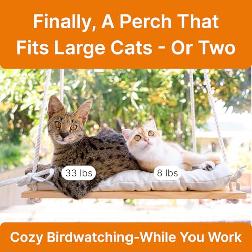 Large Cat Window Perch with Industrial-Grade Suction Cups – Solid Pine Wood Hammock Bed, Soft Cushion - 42 lb Capacity for Heavy Cats Inside - color: Beige, size: X-Large