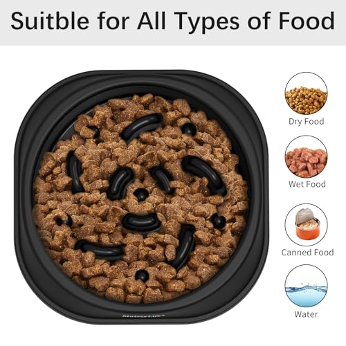 MateeyLife 1-Pack Slow Feeder Dog Bowls, 1 Cup, Dog Puzzle Feeder Bowl - color: H-Black, size: Small