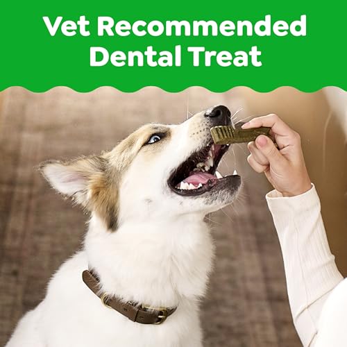 Greenies Regular Dental Dog Treats, Original Chicken Flavor, 3 Count - size: 3 Count (Pack of 1)