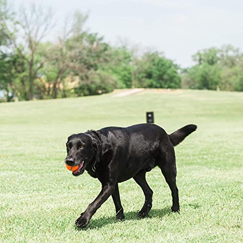 Chuckit! Dog Tennis Ball Toy, Medium 2.5in, 4 Pack, for 20-60lbs Dogs - size: Medium - Pack of 4