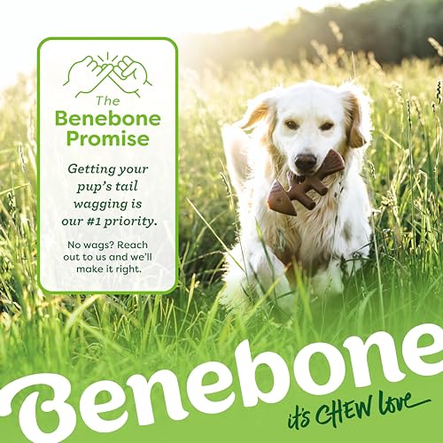 Benebone Large 4-Pack Dog Toys for Aggressive Chewers – Under 90 lbs - size: Large, style: 4 Pack
