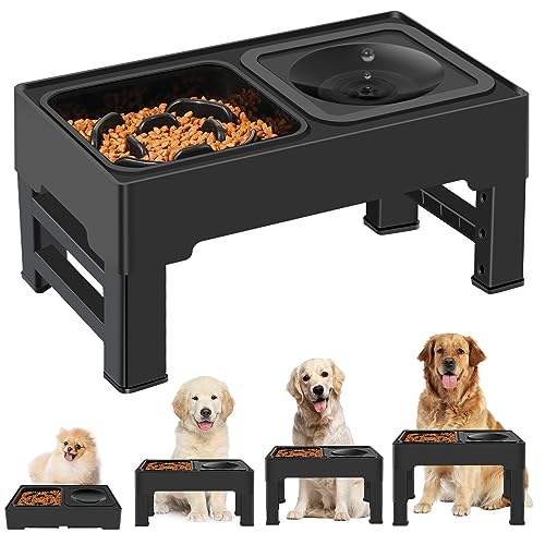 2-in-1 Elevated Dog Bowls, No Spill Water Bowl, Slow Feeder Food Bowl - size: Slow Feeder