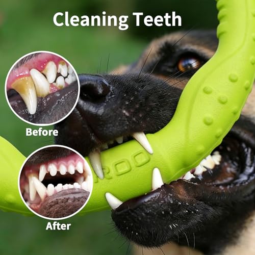 LaRoo Dog Flying Ring Toys, Floating Flying Disc Toys, Summer Pet Training Outdoor Durable Chew Toys for Medium and Large Dogs (Medium Green/22cm) - color: Green-M