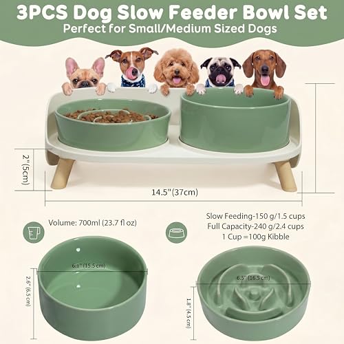 Elevated Slow Feeder Dog Bowls with Splash Proof Stand, Slow Eating 5X - color: Green