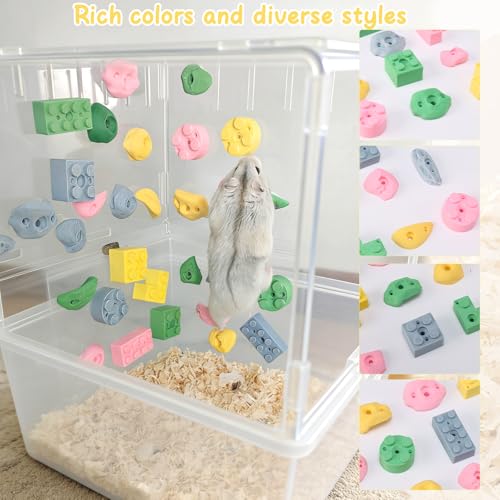 Hamster Climbing Wall Toys, DIY Colorful Rock(Random 24 pcs) - size: 24 pcs