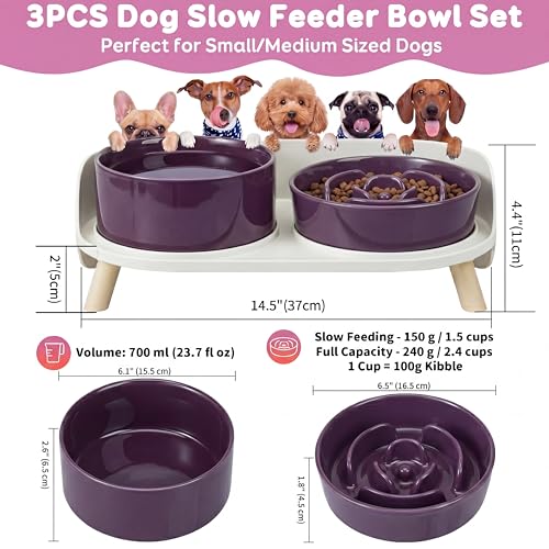 Elevated Slow Feeder Dog Bowls with Splash Proof Stand, Slow Eating 5X - color: Purple