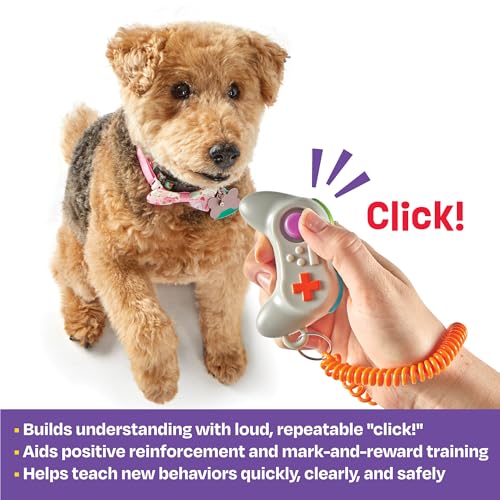 Learning Resources Brightkins Gamepad Training Clicker - style: GAMEPAD