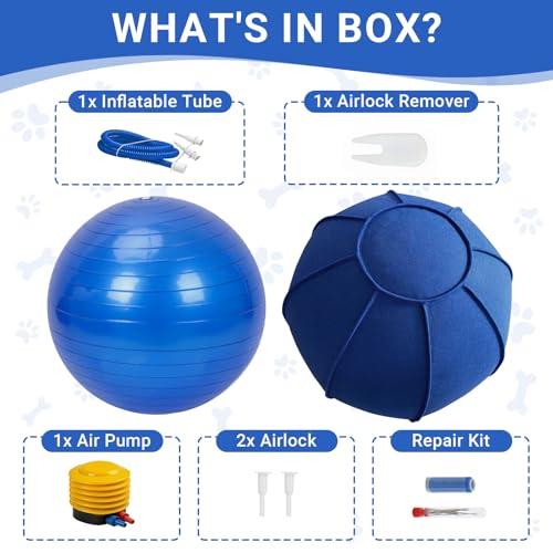 Dog Toy Ball for Dogs, Interactive Dog Training Toy for Medium Large Breeds Outdoor Play, Collies Exercise Agility (Blue,L)