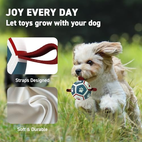 QDAN Small Dog Toys, Puppy Balls, Dog Balls with Straps for Small Breed - color: Red-Blue, size: Extra Small Size 0 (3.5 Inch)