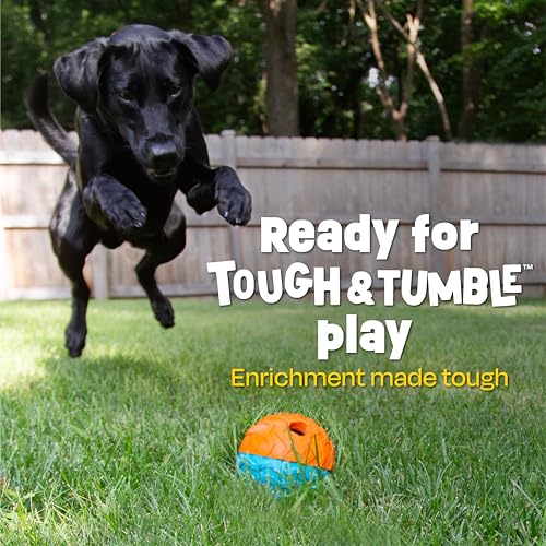 Brightkins Tough & Tumble 2 Piece Treat Dispenser: Small Textured Ball