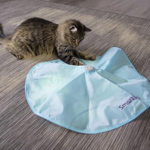 SmartyKat Electronic Motion/Moving Toys for Cats & Kittens, Battery Powered, Mimics Motion of Real Prey, Fun & Interactive Play - Multiple Styles - style: Hot Pursuit