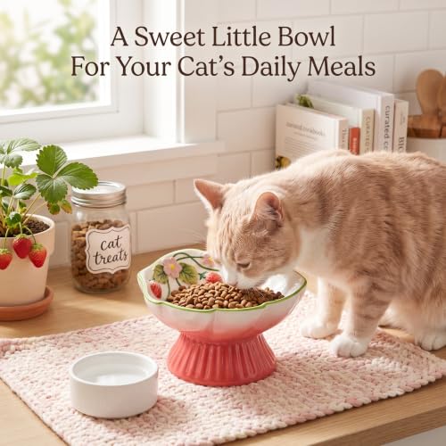 Ceramic Slow Feeder Cat Bowl, Cute Strawberry Elevated Cat Bowl for Wet & Dry Food, Raised Ceramic Cat Food Bowl with Whisker-Friendly Wide Shallow Design, Slow Feeder for Slower Eating