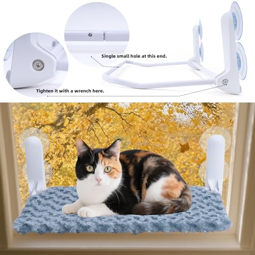 YUNIQUE Cat Window Perch, Upturned Edge Bracket, Portable Wall Hammock for Indoor Cat, Green - color: Green