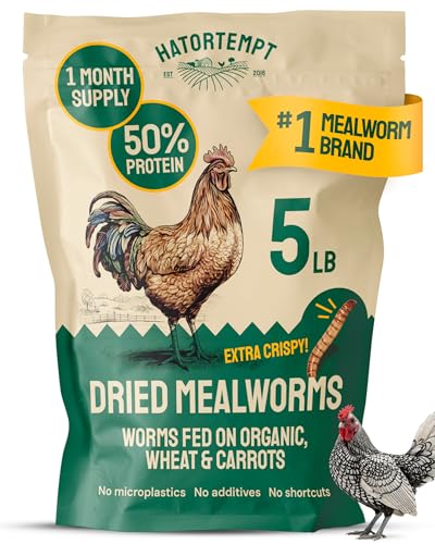 Hatortempt 5lb Dried Mealworms for Chickens & Wild Birds, Chicken Feed - size: 5 Pound (Pack of 1)