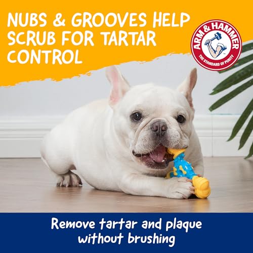 Arm & Hammer Nubbies TriBone Dental Dog Chew Toy, Peanut Butter Flavor - color: Blue & Yellow TriOBone, size: 1 Count