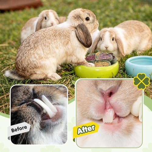 Abizoo Rabbit Chew Toys, Natural Four-Leaf Clover Herbal Edible Treats