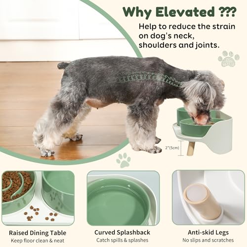 Elevated Slow Feeder Dog Bowls with Splash Proof Stand, Slow Eating 5X - color: Green