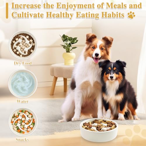 Ceramic Slow Feeder Dog Bowls, 0.6 Cups Dog Food Dish for Small Breed - color: Beige-M