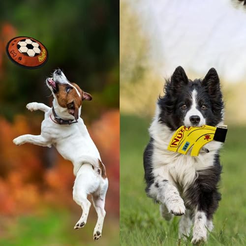 Squeaky Flying Disc for Small Medium Dogs 2-Pack Fetch Rings