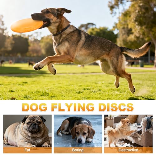 Dog Flying Discs, Dog Flying Discs Resistant Bite, 4.6" 2Pcs - color: Blue, size: 5 Inches